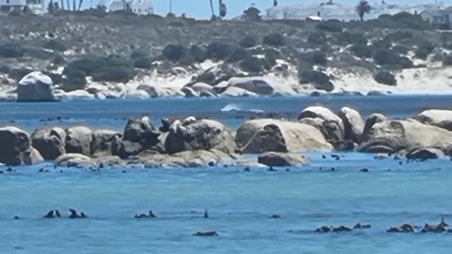0 Bedroom Property for Sale in Shelley Point Western Cape